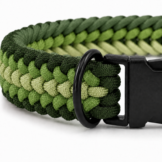 Handgeflochtenes Paracord Hundehalsband in grün mit schwarzem Klickverschluss und D-Ring.