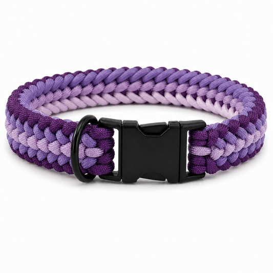 Handgeflochtenes Paracord Hundehalsband in Lila mit schwarzem Klickverschluss und D-Ring.