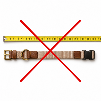 Beiges Hundehalsband unter einem Maßband mit rotem Kreuz als Hinweis, das Halsband nicht flach auszumessen.