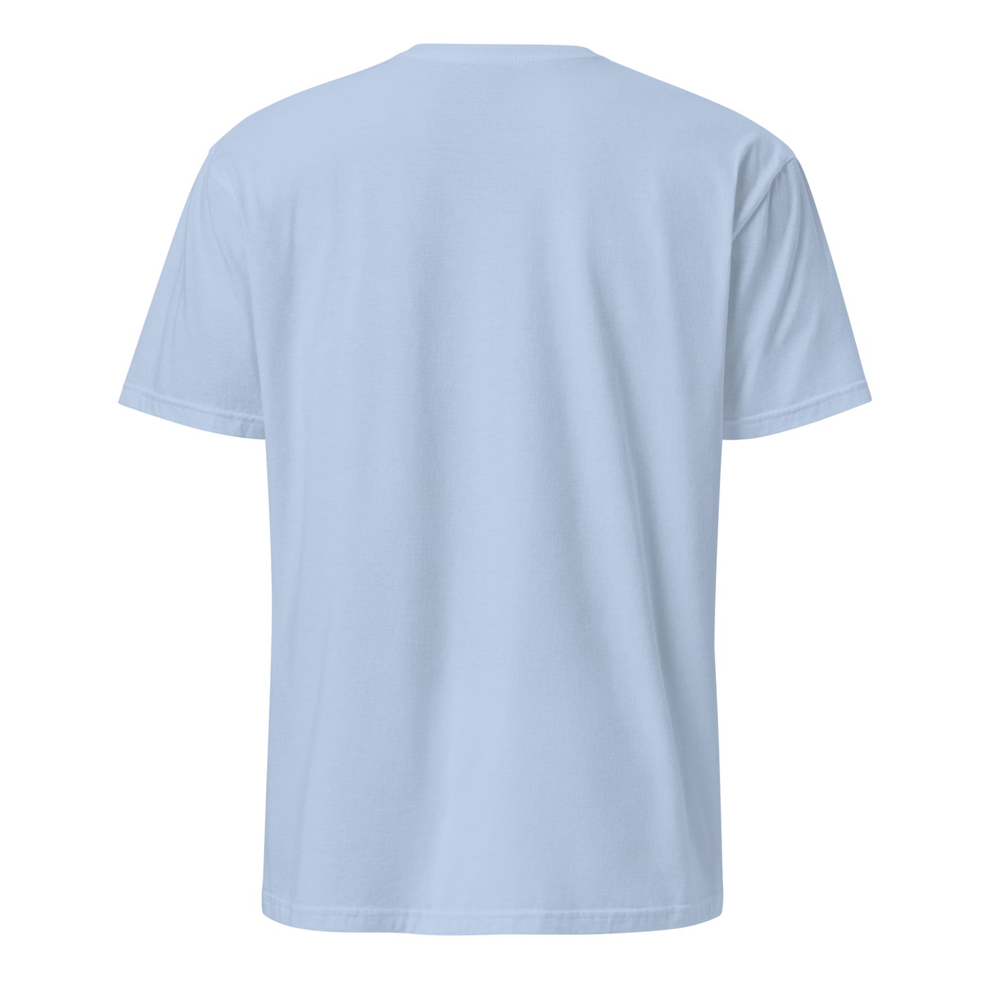 Hellblaues T-Shirt mit der Aufschrift „Nur kurz zum Pferd“ und verspieltem Pferde-Motiv in Rosa- und Blautönen.