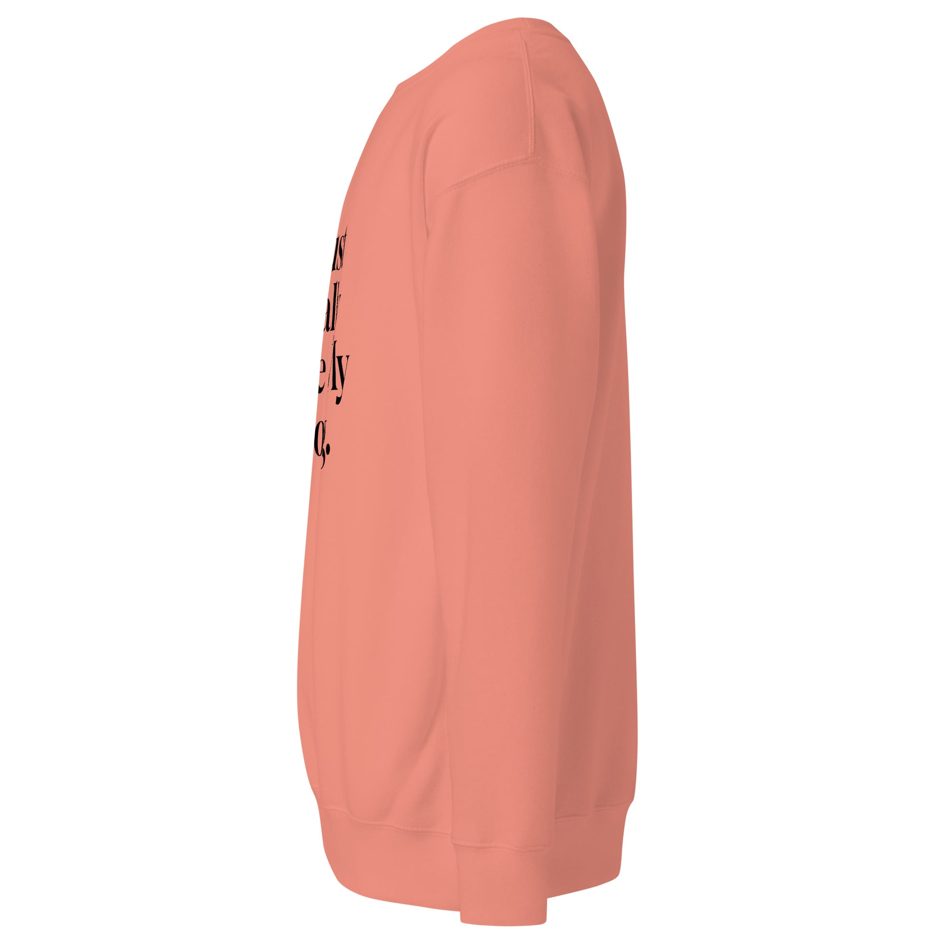 Sweatshirt mit schwarzem Schriftzug I Just Really Love My Dog.